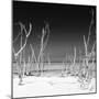 Cuba Fuerte Collection SQ BW - Wild Beach-Philippe Hugonnard-Mounted Photographic Print