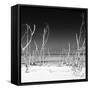 Cuba Fuerte Collection SQ BW - Wild Beach-Philippe Hugonnard-Framed Stretched Canvas
