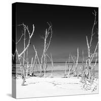 Cuba Fuerte Collection SQ BW - Wild Beach-Philippe Hugonnard-Stretched Canvas