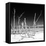 Cuba Fuerte Collection SQ BW - Wild Ocean-Philippe Hugonnard-Framed Stretched Canvas