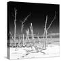 Cuba Fuerte Collection SQ BW - Wild Ocean-Philippe Hugonnard-Stretched Canvas