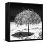 Cuba Fuerte Collection SQ BW - Wild Umbrella-Philippe Hugonnard-Framed Stretched Canvas