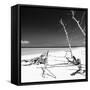 Cuba Fuerte Collection SQ BW - Wild White Sand Beach-Philippe Hugonnard-Framed Stretched Canvas