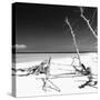 Cuba Fuerte Collection SQ BW - Wild White Sand Beach-Philippe Hugonnard-Stretched Canvas