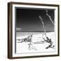 Cuba Fuerte Collection SQ BW - Wild White Sand Beach-Philippe Hugonnard-Framed Photographic Print