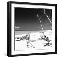 Cuba Fuerte Collection SQ BW - Wild White Sand Beach-Philippe Hugonnard-Framed Photographic Print