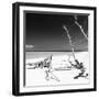 Cuba Fuerte Collection SQ BW - Wild White Sand Beach-Philippe Hugonnard-Framed Photographic Print