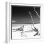 Cuba Fuerte Collection SQ BW - Wild White Sand Beach-Philippe Hugonnard-Framed Photographic Print