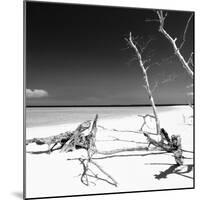 Cuba Fuerte Collection SQ BW - Wild White Sand Beach-Philippe Hugonnard-Mounted Photographic Print