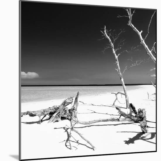 Cuba Fuerte Collection SQ BW - Wild White Sand Beach-Philippe Hugonnard-Mounted Photographic Print