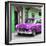 Cuba Fuerte Collection SQ - Classic American Purple Car in Havana-Philippe Hugonnard-Framed Photographic Print