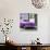 Cuba Fuerte Collection SQ - Classic Purple Car-Philippe Hugonnard-Photographic Print displayed on a wall