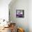 Cuba Fuerte Collection SQ - Classic Purple Car-Philippe Hugonnard-Framed Stretched Canvas displayed on a wall