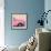 Cuba Fuerte Collection SQ - Close-up of Retro Pink Car-Philippe Hugonnard-Framed Photographic Print displayed on a wall