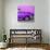 Cuba Fuerte Collection SQ - Close-up of Retro Purple Car-Philippe Hugonnard-Photographic Print displayed on a wall