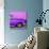 Cuba Fuerte Collection SQ - Close-up of Retro Purple Car-Philippe Hugonnard-Photographic Print displayed on a wall