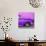 Cuba Fuerte Collection SQ - Close-up of Retro Purple Car-Philippe Hugonnard-Photographic Print displayed on a wall