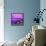 Cuba Fuerte Collection SQ - Close-up of Retro Purple Car-Philippe Hugonnard-Framed Stretched Canvas displayed on a wall