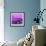 Cuba Fuerte Collection SQ - Close-up of Retro Purple Car-Philippe Hugonnard-Framed Photographic Print displayed on a wall