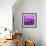 Cuba Fuerte Collection SQ - Close-up of Retro Purple Car-Philippe Hugonnard-Framed Photographic Print displayed on a wall