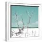 Cuba Fuerte Collection SQ - Coral Green Serenity-Philippe Hugonnard-Framed Photographic Print