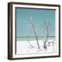 Cuba Fuerte Collection SQ - Coral Green Stillness-Philippe Hugonnard-Framed Photographic Print