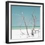 Cuba Fuerte Collection SQ - Coral Green Stillness-Philippe Hugonnard-Framed Photographic Print