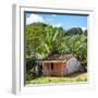 Cuba Fuerte Collection SQ - Cuban Country House-Philippe Hugonnard-Framed Photographic Print