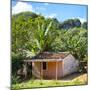 Cuba Fuerte Collection SQ - Cuban Country House-Philippe Hugonnard-Mounted Photographic Print