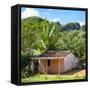 Cuba Fuerte Collection SQ - Cuban Country House-Philippe Hugonnard-Framed Stretched Canvas