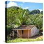 Cuba Fuerte Collection SQ - Cuban Country House-Philippe Hugonnard-Stretched Canvas