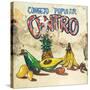 Cuba Fuerte Collection SQ - Fruits & Vegetables-Philippe Hugonnard-Stretched Canvas