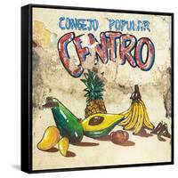 Cuba Fuerte Collection SQ - Fruits & Vegetables-Philippe Hugonnard-Framed Stretched Canvas