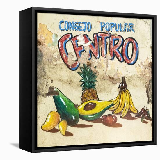 Cuba Fuerte Collection SQ - Fruits & Vegetables-Philippe Hugonnard-Framed Stretched Canvas