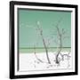 Cuba Fuerte Collection SQ - Green Stillness-Philippe Hugonnard-Framed Photographic Print