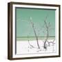 Cuba Fuerte Collection SQ - Green Stillness-Philippe Hugonnard-Framed Photographic Print