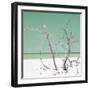 Cuba Fuerte Collection SQ - Green Stillness-Philippe Hugonnard-Framed Photographic Print