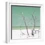 Cuba Fuerte Collection SQ - Green Stillness-Philippe Hugonnard-Framed Photographic Print