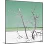 Cuba Fuerte Collection SQ - Green Stillness-Philippe Hugonnard-Mounted Photographic Print