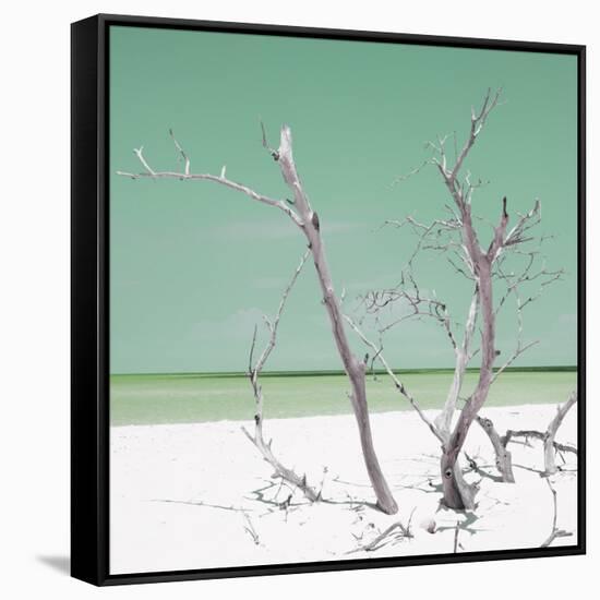 Cuba Fuerte Collection SQ - Green Stillness-Philippe Hugonnard-Framed Stretched Canvas