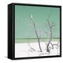 Cuba Fuerte Collection SQ - Green Stillness-Philippe Hugonnard-Framed Stretched Canvas
