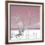 Cuba Fuerte Collection SQ - Hot Pink Serenity-Philippe Hugonnard-Framed Photographic Print