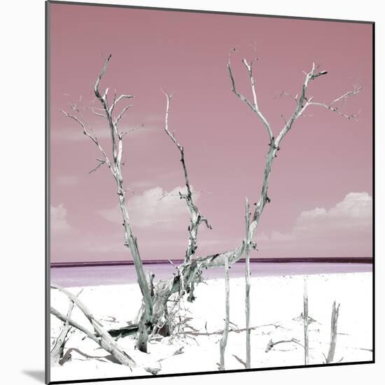 Cuba Fuerte Collection SQ - Hot Pink Serenity-Philippe Hugonnard-Mounted Photographic Print