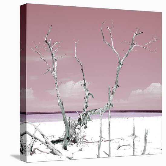 Cuba Fuerte Collection SQ - Hot Pink Serenity-Philippe Hugonnard-Stretched Canvas