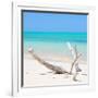 Cuba Fuerte Collection SQ - Lost Paradise-Philippe Hugonnard-Framed Photographic Print