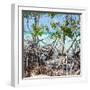 Cuba Fuerte Collection SQ - Mangroves-Philippe Hugonnard-Framed Photographic Print