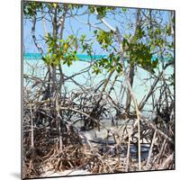 Cuba Fuerte Collection SQ - Mangroves-Philippe Hugonnard-Mounted Photographic Print