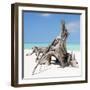 Cuba Fuerte Collection SQ - Natural Sculpture-Philippe Hugonnard-Framed Photographic Print