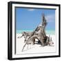 Cuba Fuerte Collection SQ - Natural Sculpture-Philippe Hugonnard-Framed Photographic Print