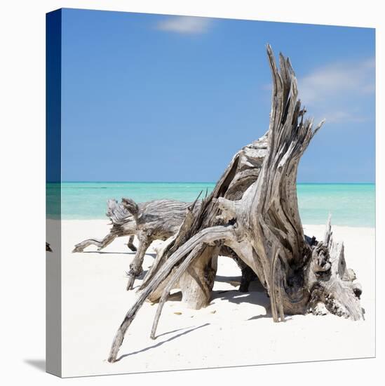 Cuba Fuerte Collection SQ - Natural Sculpture-Philippe Hugonnard-Stretched Canvas